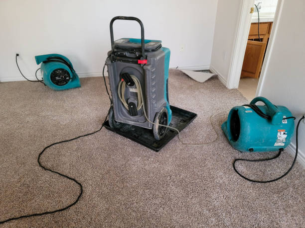 Best Commercial water damage restoration  in Chelsea Cove, NY