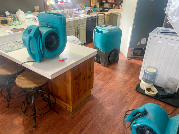 Best Professional water damage repair  in Chelsea Cove, NY