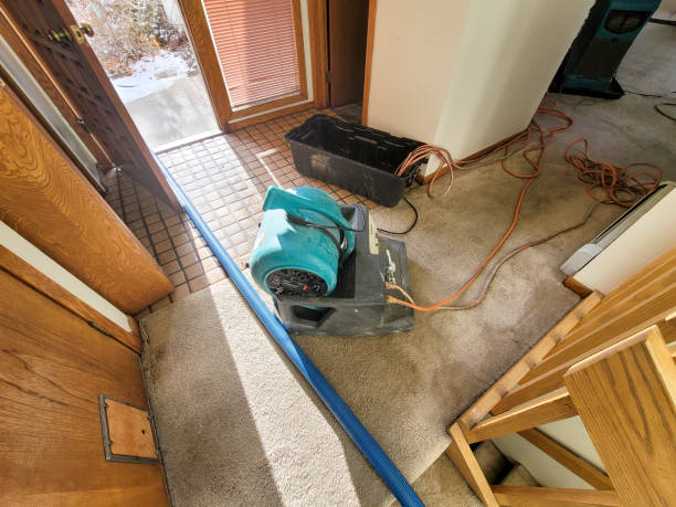 Best Water damage restoration experts  in Chelsea Cove, NY