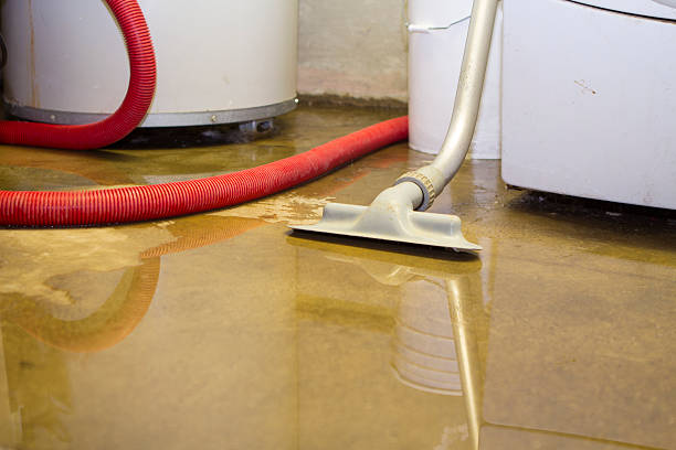 Best Water damage restoration insurance claims  in Chelsea Cove, NY