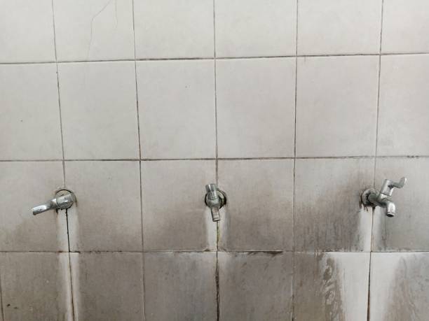 Best Flood damage cleanup  in Chelsea Cove, NY