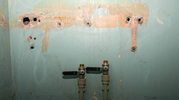 Best Mold removal after water damage  in Chelsea Cove, NY