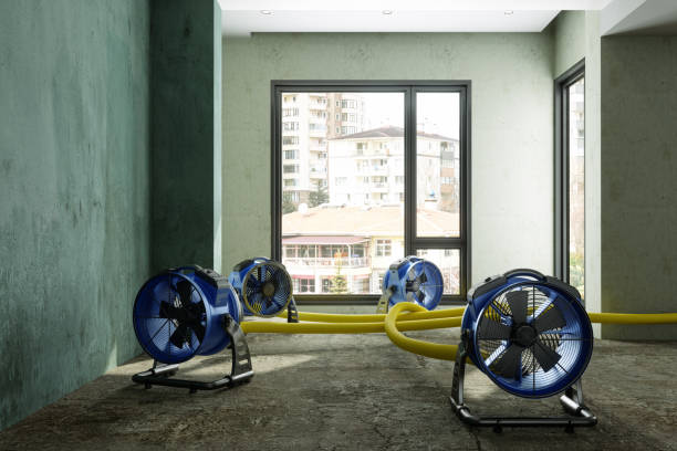 Best Sewage cleanup and water damage restoration  in Chelsea Cove, NY