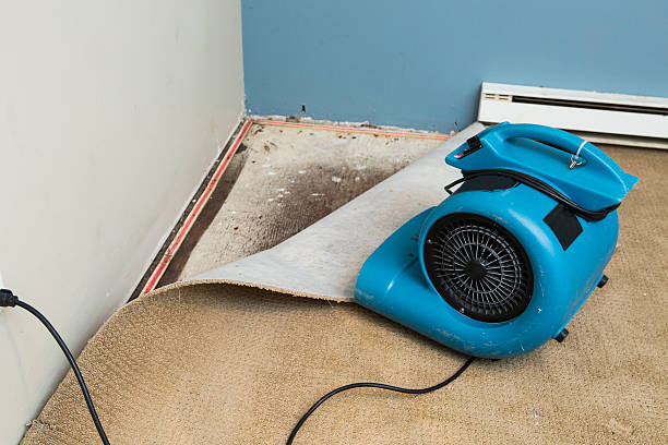  Chelsea Cove, NY Water damage restoration Pros